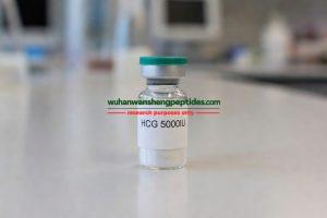 hcg
