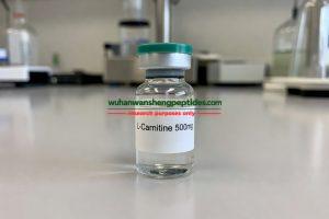 L-Carnitine 500mg
