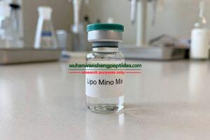 Lipo Mino Mix (B6+Methionine+Inositol+Choline+B1+B2+Carnitine) 10ml
